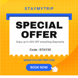 SUMMER OFFERS